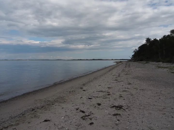 Halshuisene + Enebaerodde Beach (Denemarken)